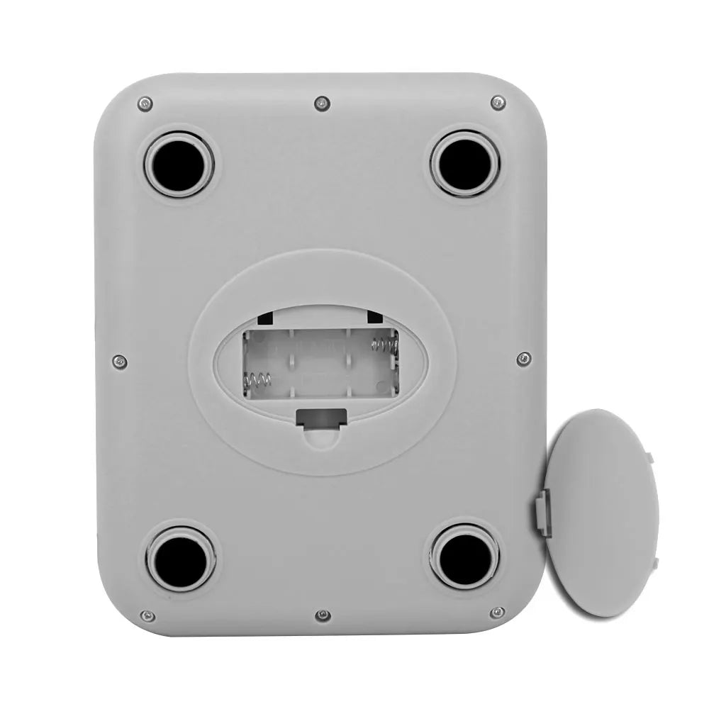 Electronic Food Scale